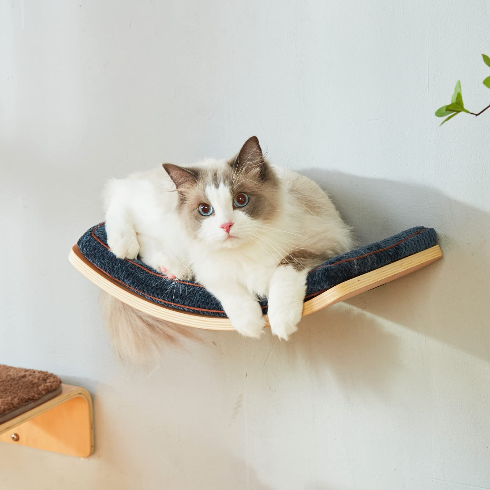 Liorce Cat Shelf With Comfortable Cushion - Curved Cat Shelves And Perches For Wall (Medium Size) - Wall Mounted Cats Furniture