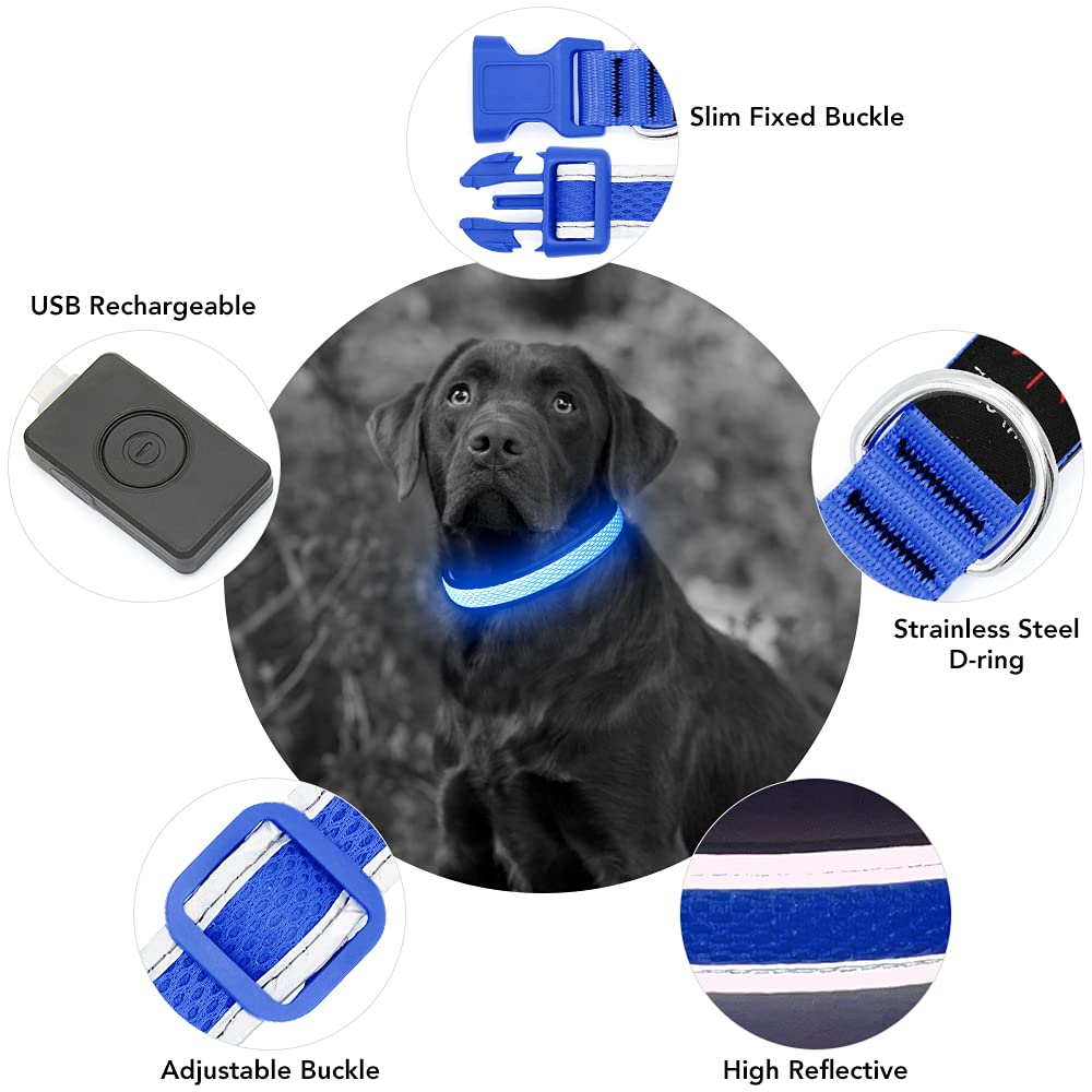 YFbrite Light up Dog Collar, USB Rechargeable LED Puppy Collar Super Bright Adjustable Glowing Dog Lights for Night Walking (Blu