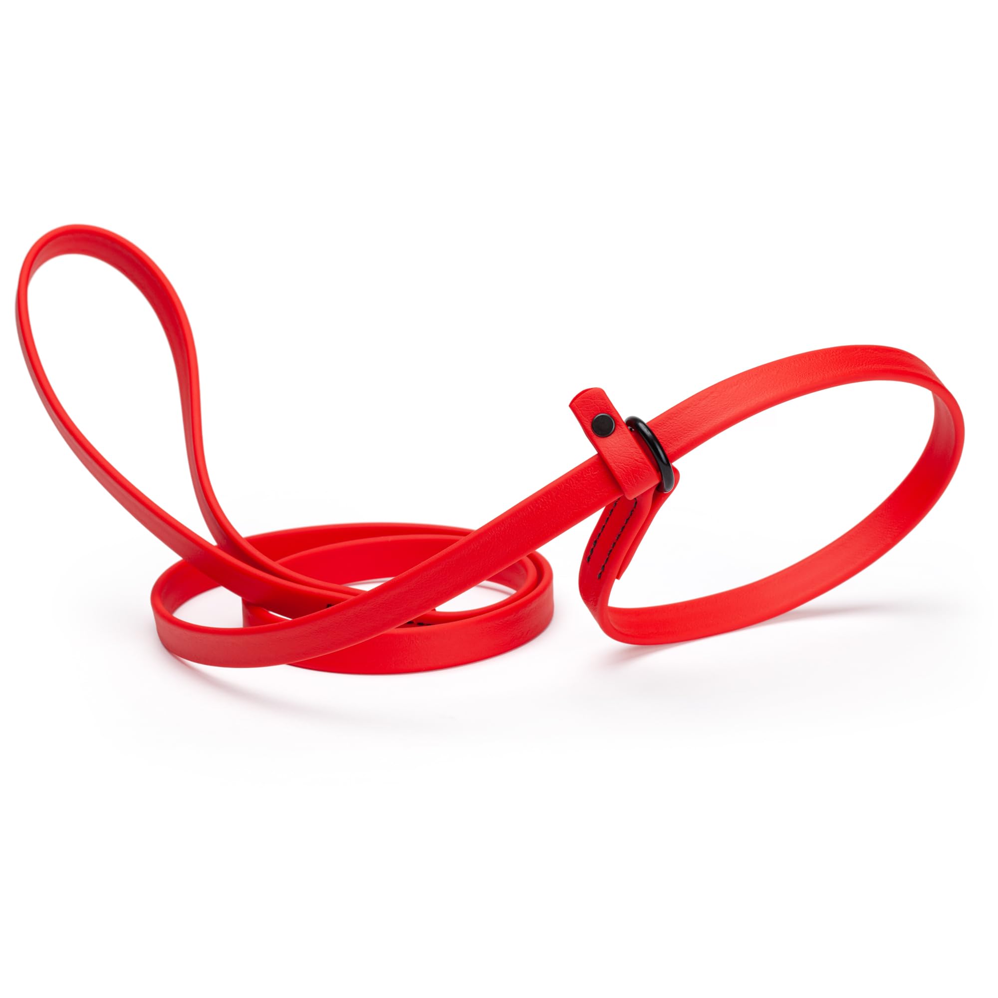 Dogline Biothane Slip Dog Leash - for Small, Medium and Large Dogs - Odor Free Slip Lead, Heavy Duty and Durable Material Kennel
