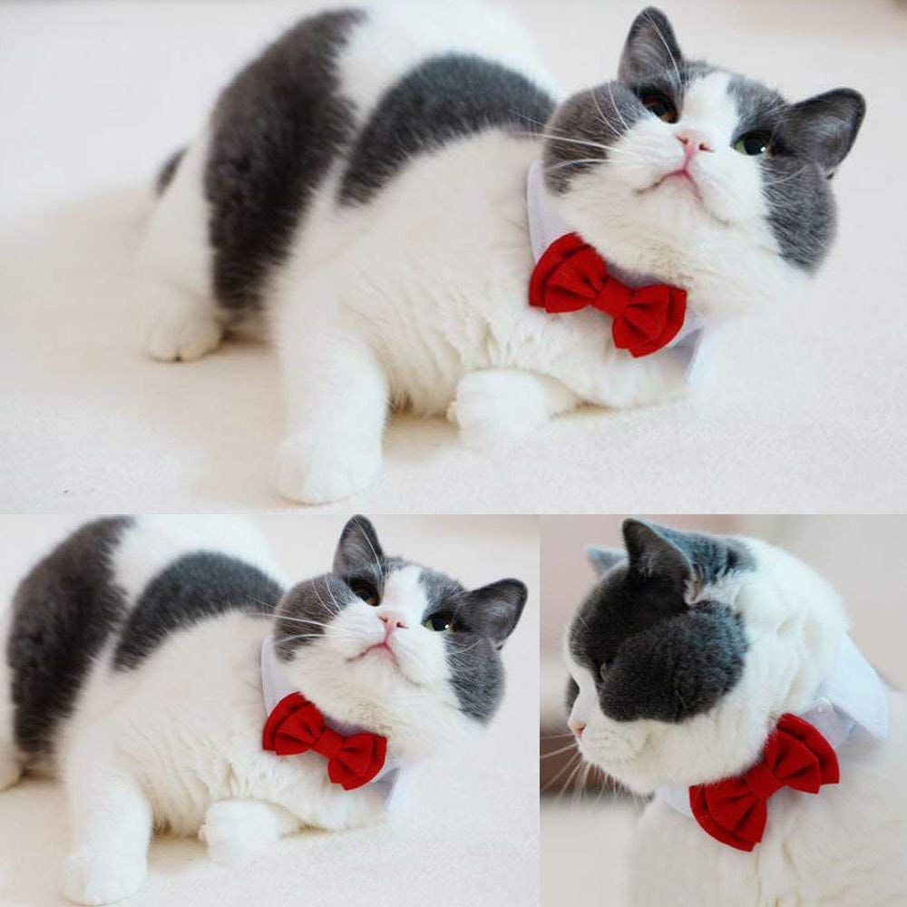 Selected Adjustable Dog Bow Tie Puppy Pet Costume Collar Stripe Bow Tie Dogs Cats Puppy Tie Neck Tie - Perfect For Wedding Tie Party Accessories (Formal Collar Bowtie-Red)