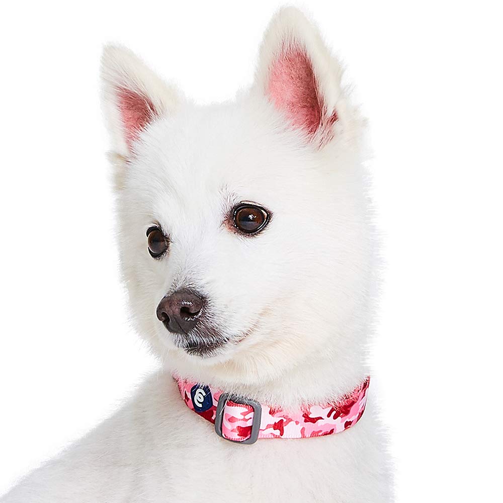 Blueberry Pet Adjustable Dog Collar, Pink Camo, Small (12-16) - Camouflage Print for Small Dogs