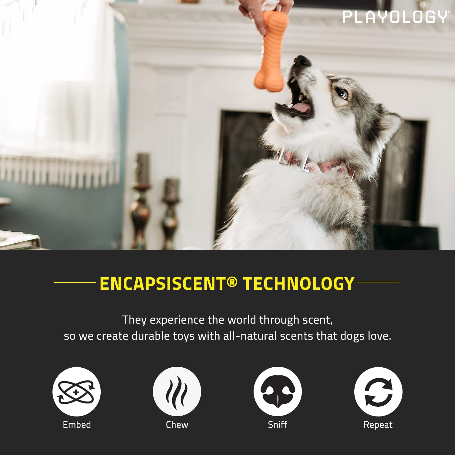 Playology Dual Layer Bone Toy - Engaging All Natural Cheddar Cheese Scented Dog Toy, Large - Chew, Toss, Fetch, And Play!