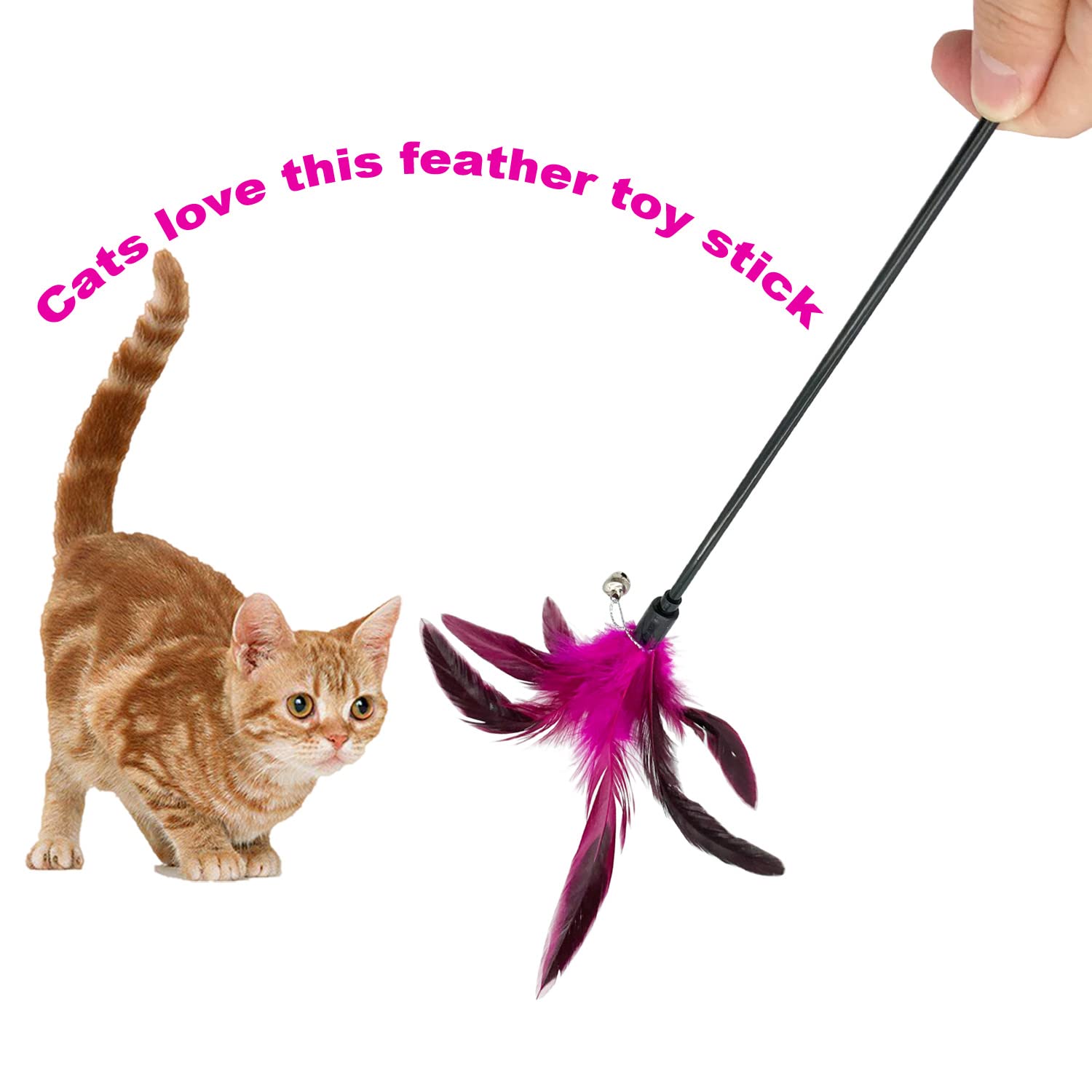 Cateness Cat Wand Toy Feather Stick Cat Toys, 8 Pieces Interactive Cat Toy Feathers Wand For Indoor Cats