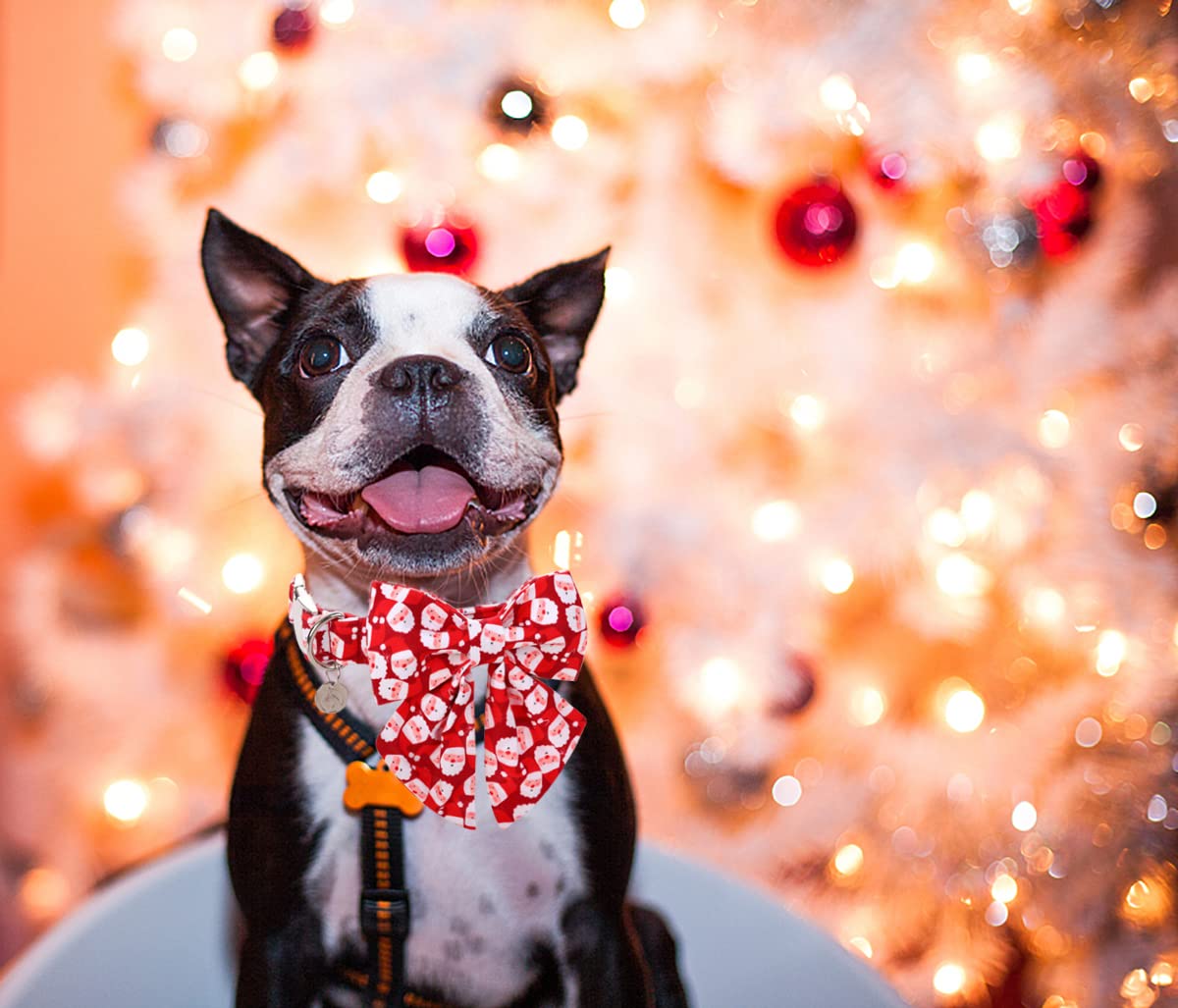 Dogwong Christmas Dog Collar With Sailor Bow, Red Santa Claus Dog Collar Soft Durable Adjustable Cotton Puppy Collar For Small M
