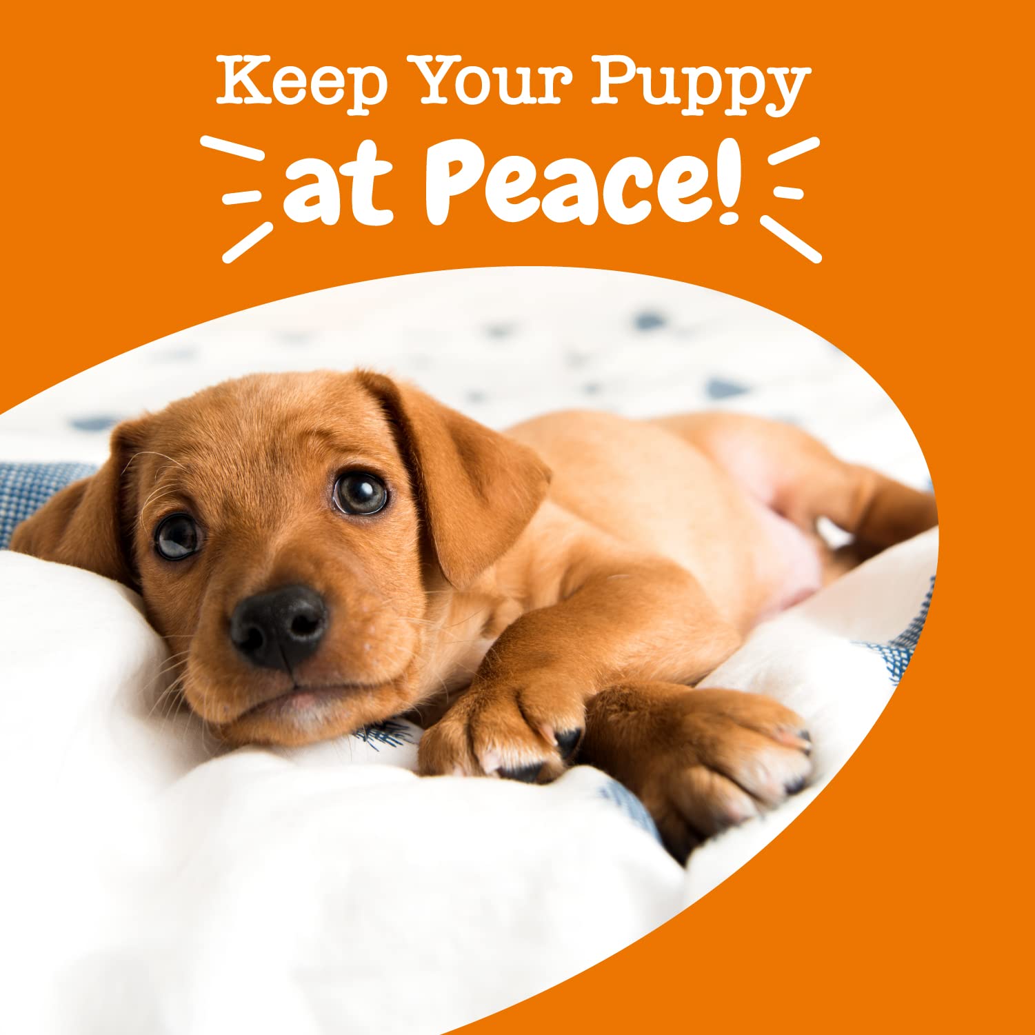 Zesty Paws Calming Chews for Dogs Composure & Relaxation for Everyday Stress & Separation Turkey Puppy 90 Count