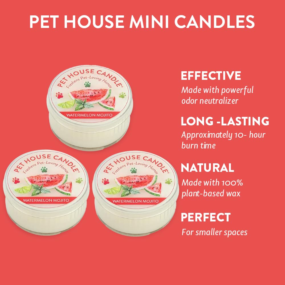 One Fur All Pet House Mini Candles For Pet Odor Made With Natural Soy Wax, Plant Based, Dog And Cat Friendly Scented Candles, Wa