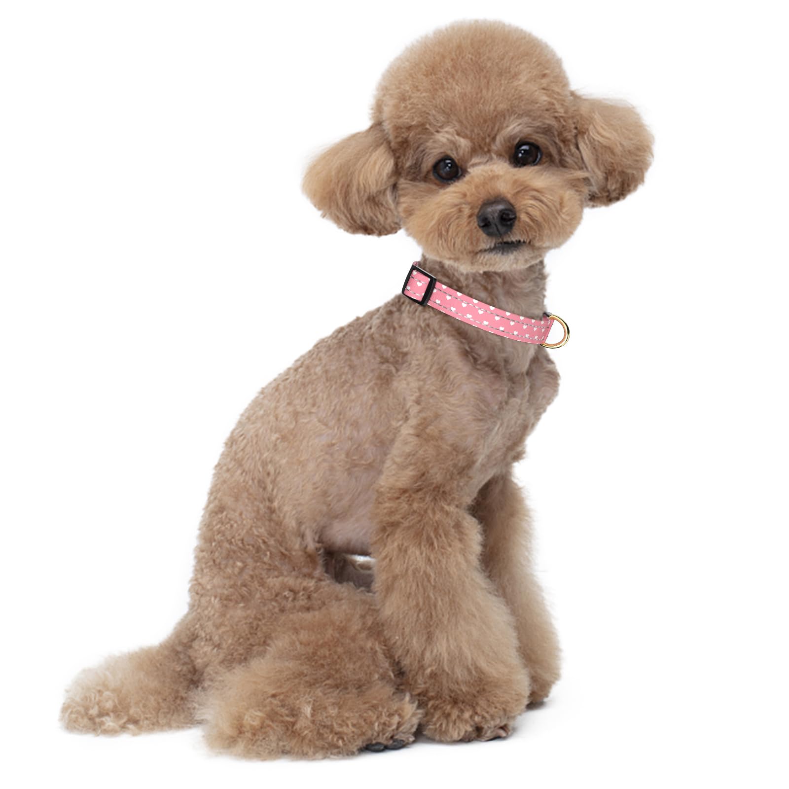 Tmoodel Reflective Dog Collar For Small Dogs, Cute Adjustable Heavy-Duty Nylon Puppy Collars For Boy And Girl Female, Soft Pet A