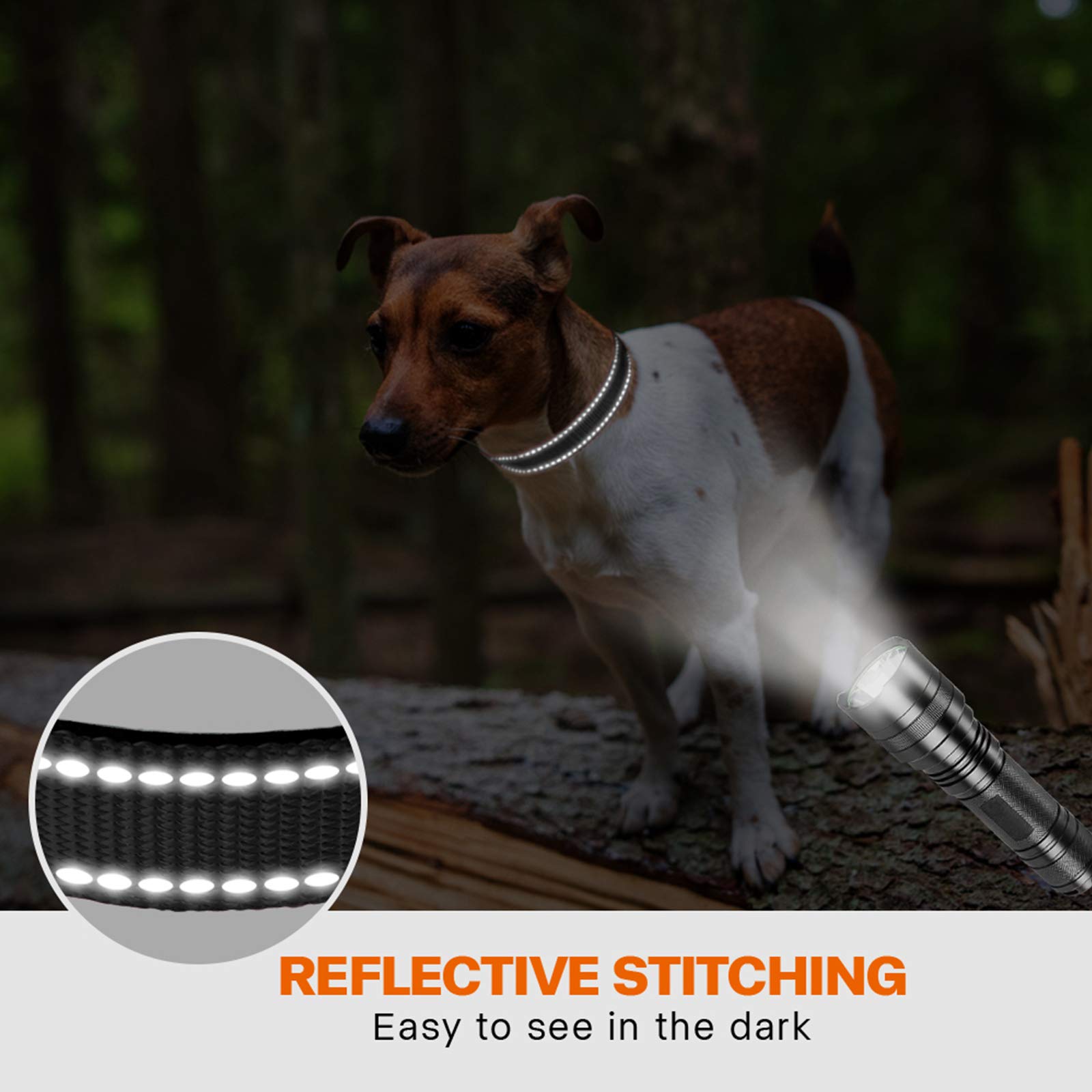 Taglory Reflective Dog Collar With Safety Locking Buckle, Adjustable Nylon Pet Collars For Small Dogs, S, Black