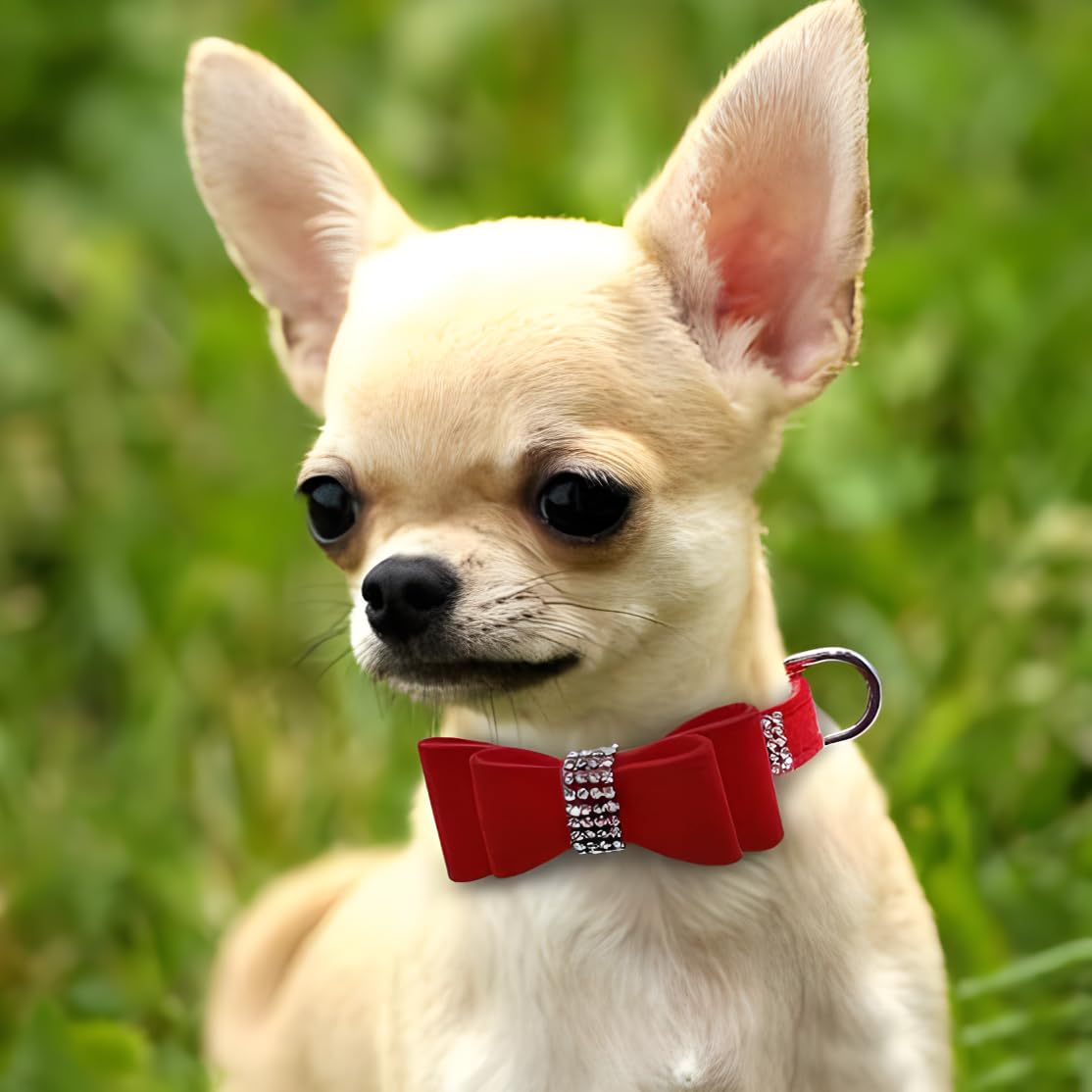 Red Rhinestone Puppy Collar With Bow, Girl Bling Cat Collars Diamond Female Fancy Sparkly Jewelry Cute Adjustable For Xxs Xs Sma