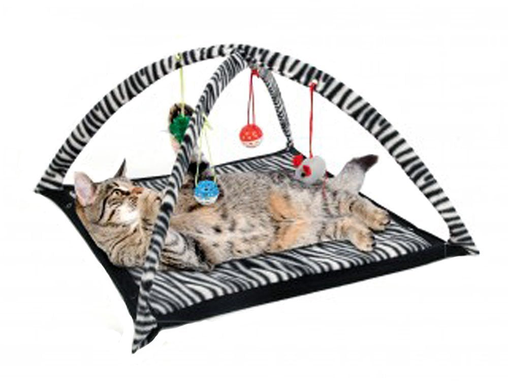Bulk Buys Zebra Print Cat Play Tent With Dangle Toys - Pack Of 2