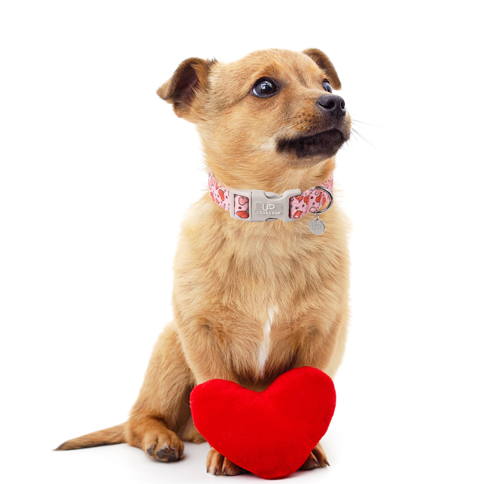 Up Urara Pup Pink Heart Dog Collar, Valentine'S Gift For Puppy, Wedding Collar, S Size, Cotton, All Breeds