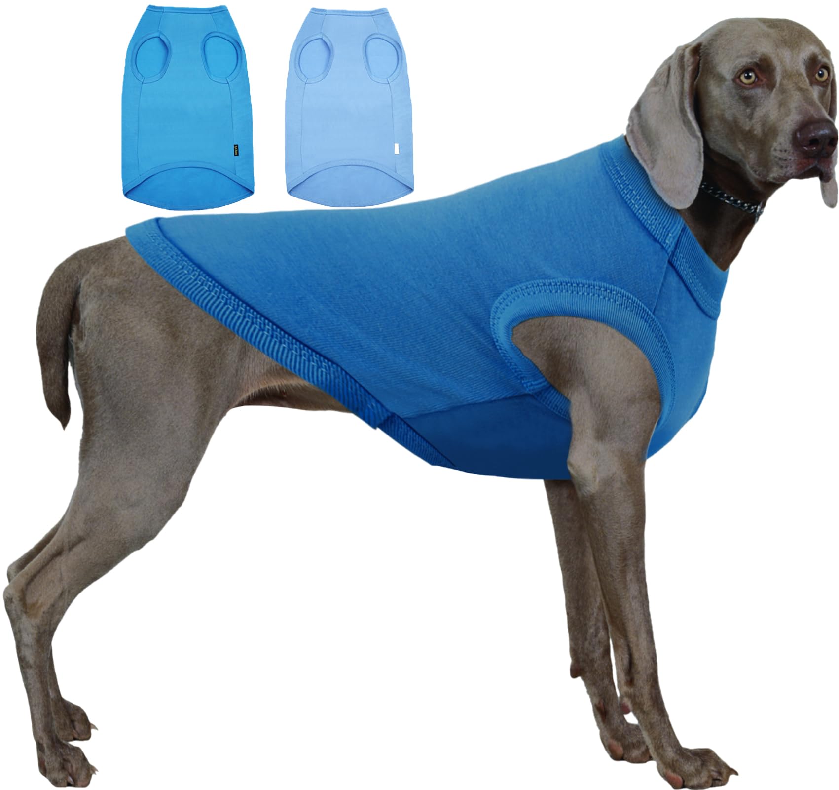 Sychien Dog Blank Blue Shirt,Boy Girl Dogs Extra Large Tee Shirts,Plain Labrador T-Shirt,XXXL Blue Royal