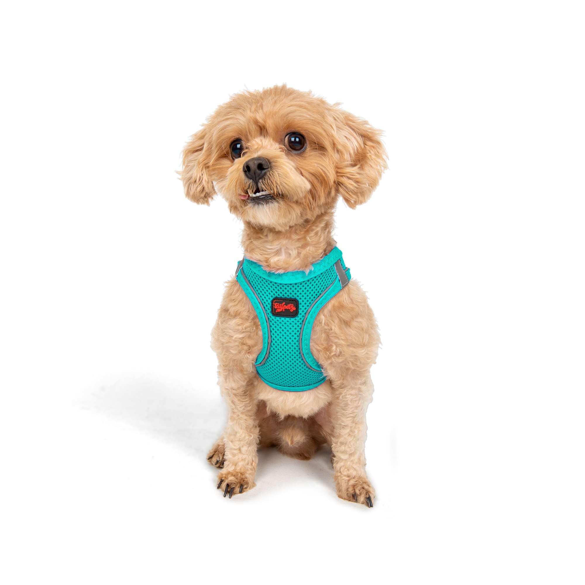Tailpetz Dog Harness with Breathable Mesh, Reflective, Step-in, No Pull Dog Vest Harness for Small and Medium Dogs and Cats, Oce