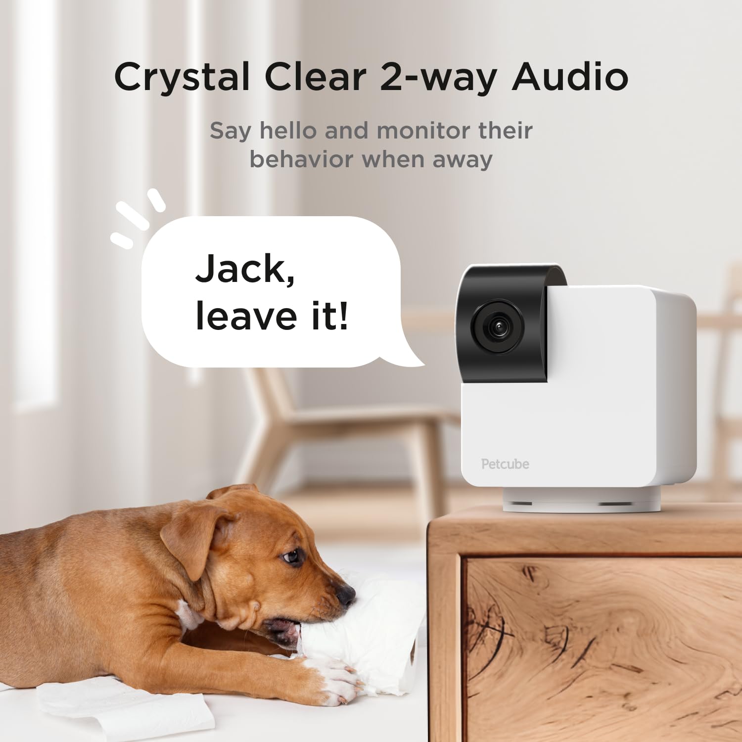 Petcube Cam 360 The Pack Of 3 Camera | Ultimate Interactive Wifi Pet And Home Security Pan-Tilt Camera With Phone App, 1080P Hd