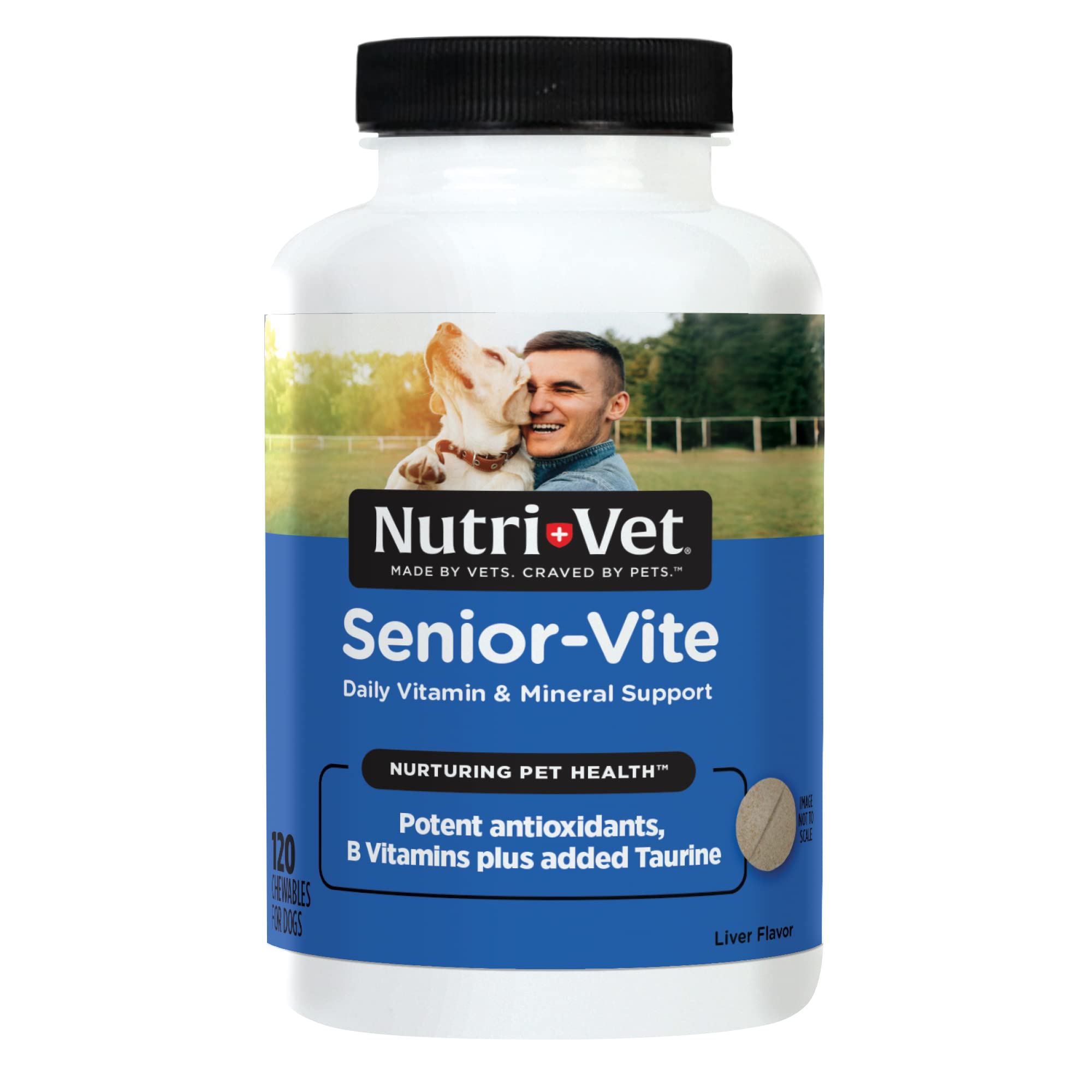 Nutri-Vet Senior-Vite Chewables for Dogs - Daily Vitamin and Mineral Support for Senior Dogs to Help Maintain Peak Condition - 1