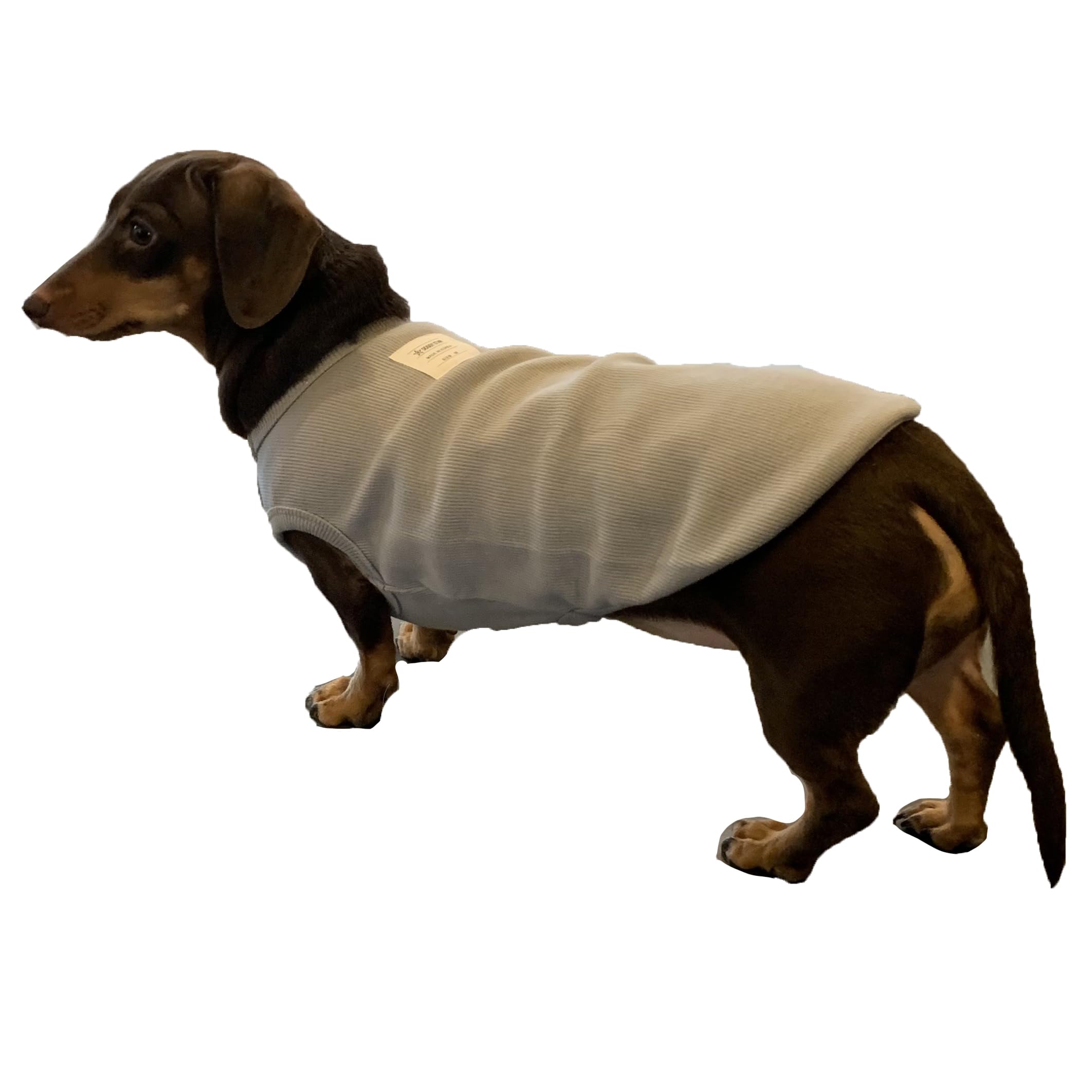 D Doggy Star Dachshund Clothes For Dogs Mini And Adults T Shirts (Xl,Solid Grey)