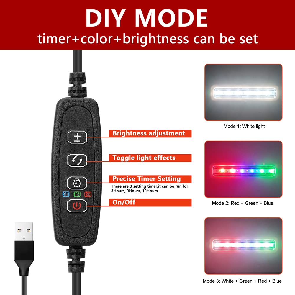 Pronetcus Betta Fish Tank, 2 Gallon Glass Aquarium Starter Kit, Small Fish Tank with Filter and Light.