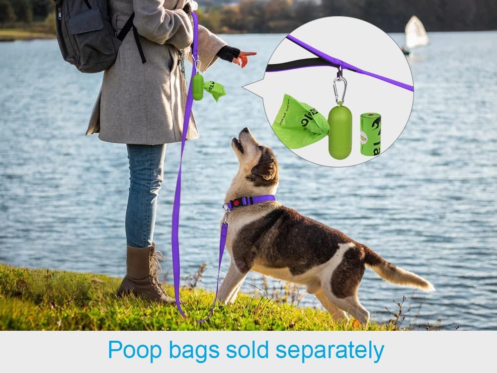 Taglory Nylon Dog Leash 6Ft, Soft Padded Handle Pet Reflective Leashes For Puppy Small Medium Dogs Walking & Training, Purple