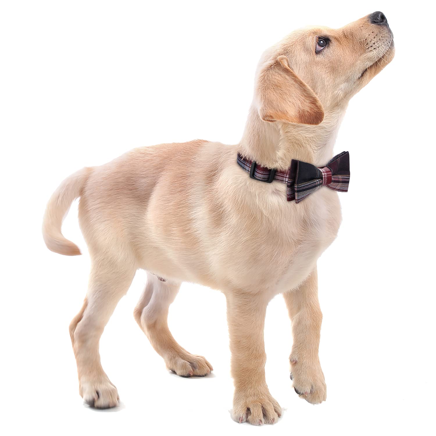 Faleela Soft &Comfy Bowtie Dog Collar,Detachable And Adjustable Bow Tie Collar,For Small Medium Large Pet (Red And White, Medium