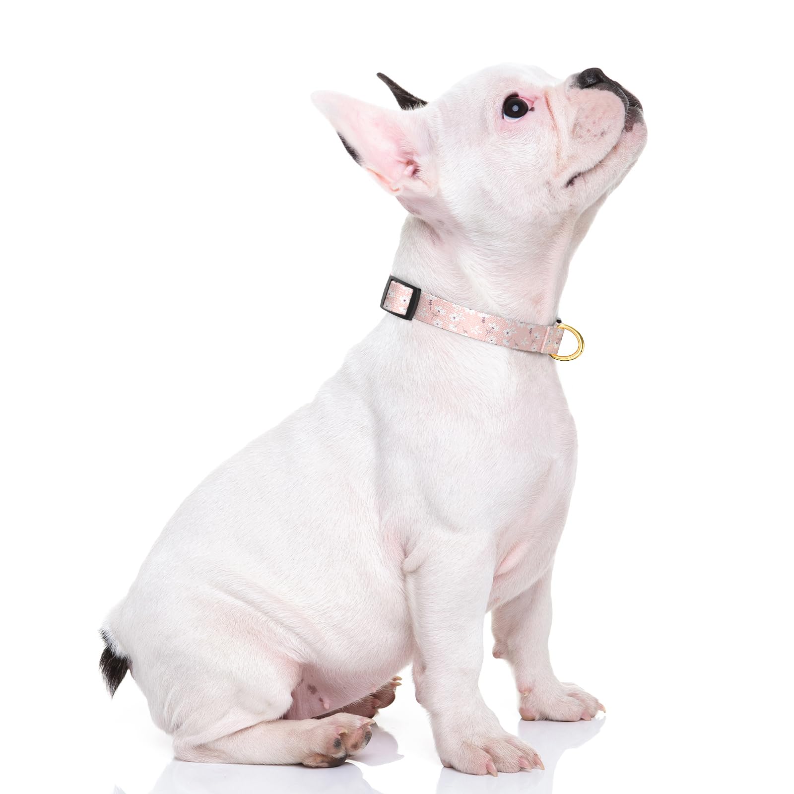 Rnivvi Dog Collar For Small Dogs, Cute Floral Heavy Duty Adjustable Puppy Collar With Quick Release Buckle For Girl & Female, Pe