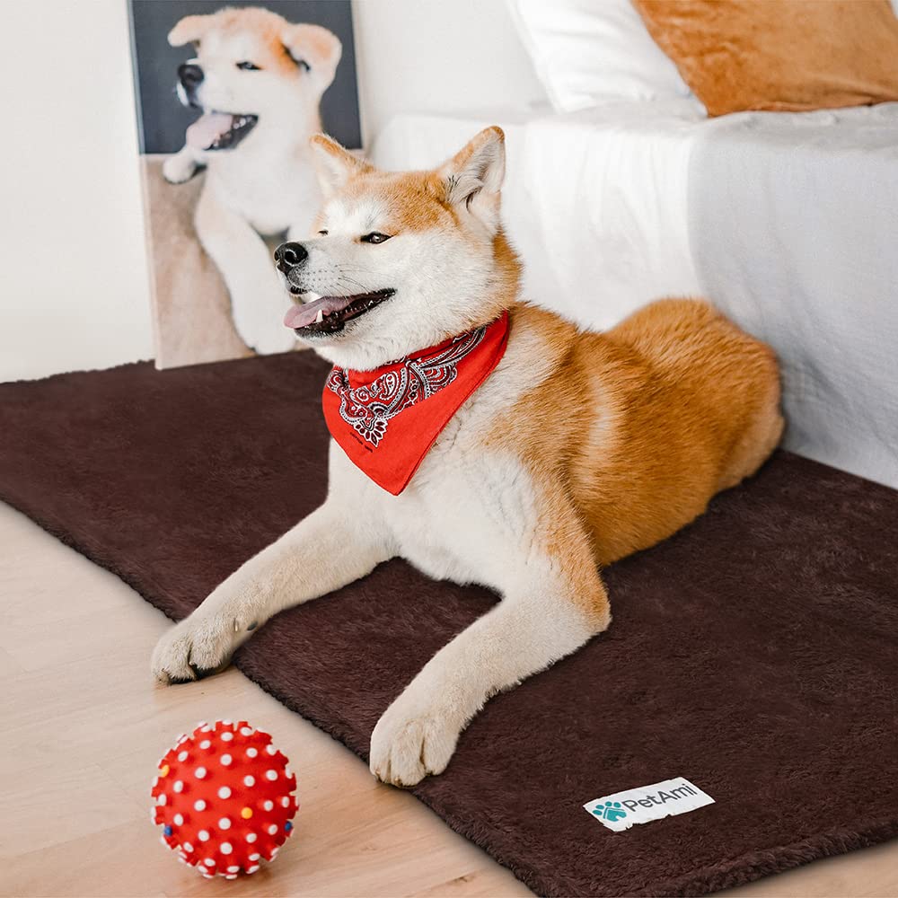 Petami Fluffy Dog Blanket For Medium Large Dog, Pet Blanket For Bed, Sherpa Furniture Couch Cover Protector, Soft Fleece Cat Sofa Throw, Shag Plush Reversible Washable For Puppy Kitten, Brown 40X60