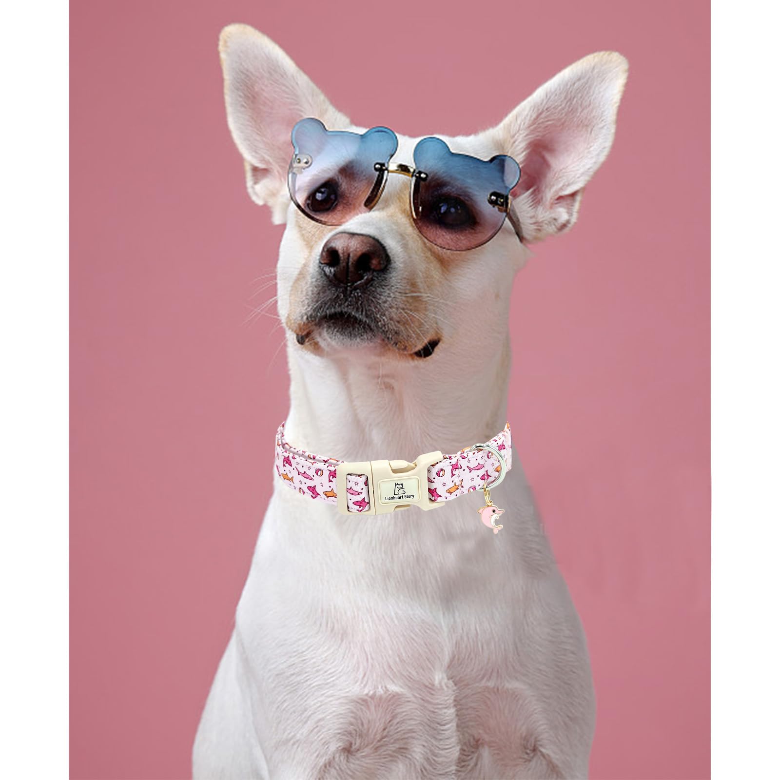 Lionheart Glory Dog Collar Shark Pattern Dog Collar Pink Dog Collars Male Or Female Spring Summer Cute Collar Pet Gift Durable A