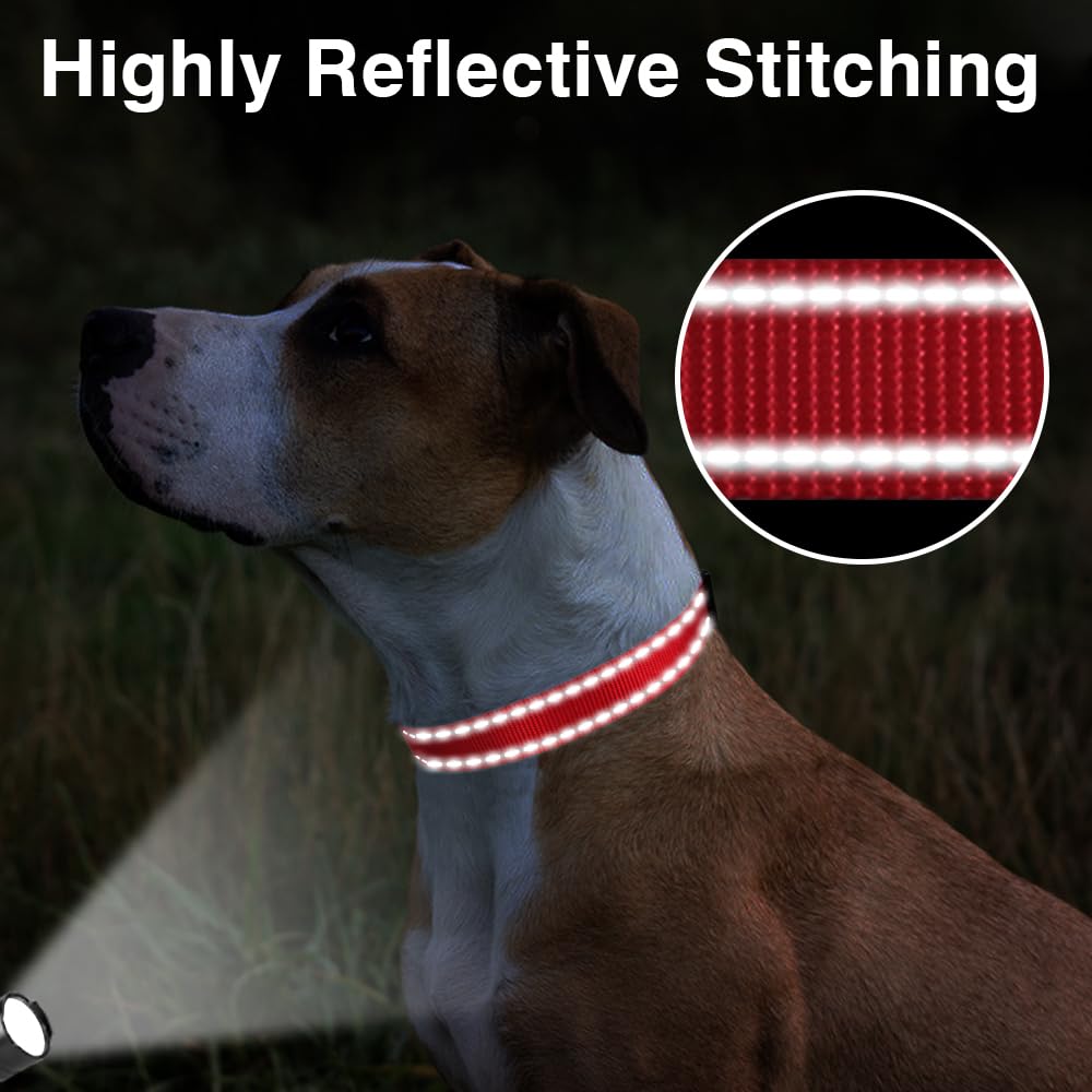 Taglory Reflective Adjustable Dog Collars For Puppy Small Medium Large Dogs, Thin Nylon Webbing And Quick Release Plastic Buckle(Red Medium)