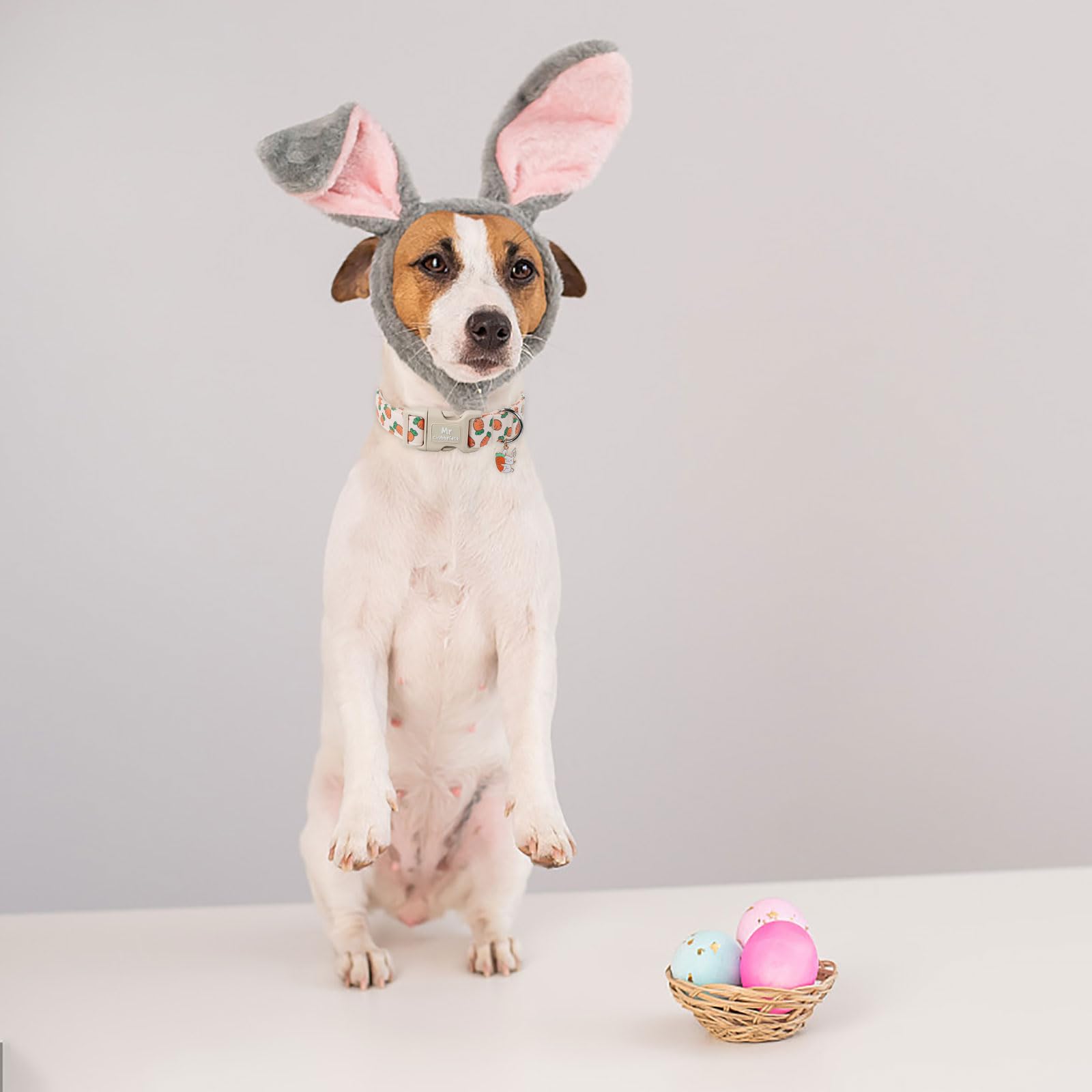 Mr.Chubbyface Easter Dog Collar, Cute Carrot Print Dog Collars,Soft Durable Adjustable Colorful Carrot Pet Collar, Cute Easter C