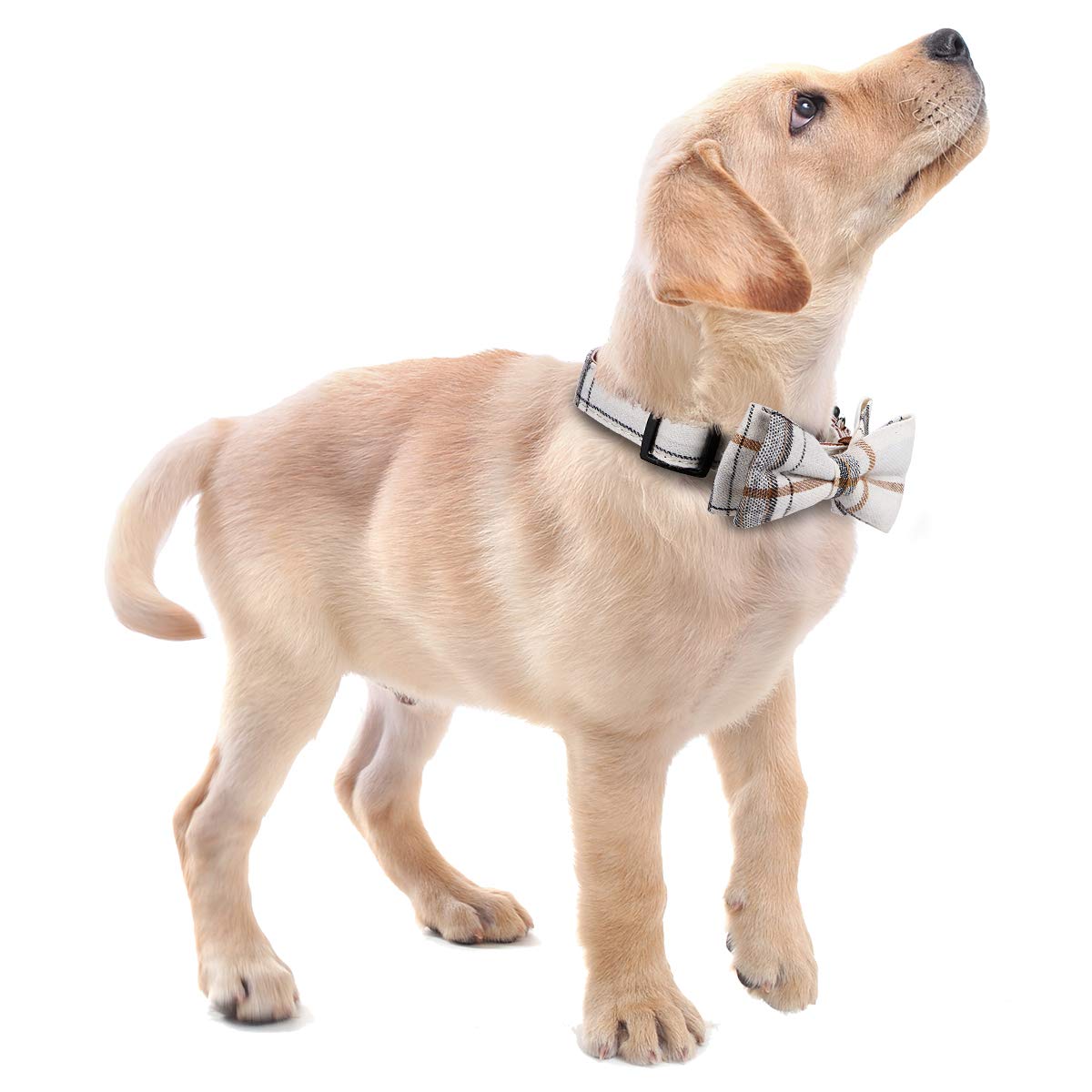 Faleela Soft &Comfy Bowtie Dog Collar,Detachable And Adjustable Bow Tie Collar,For Small Medium Large Pet (L, Beige)
