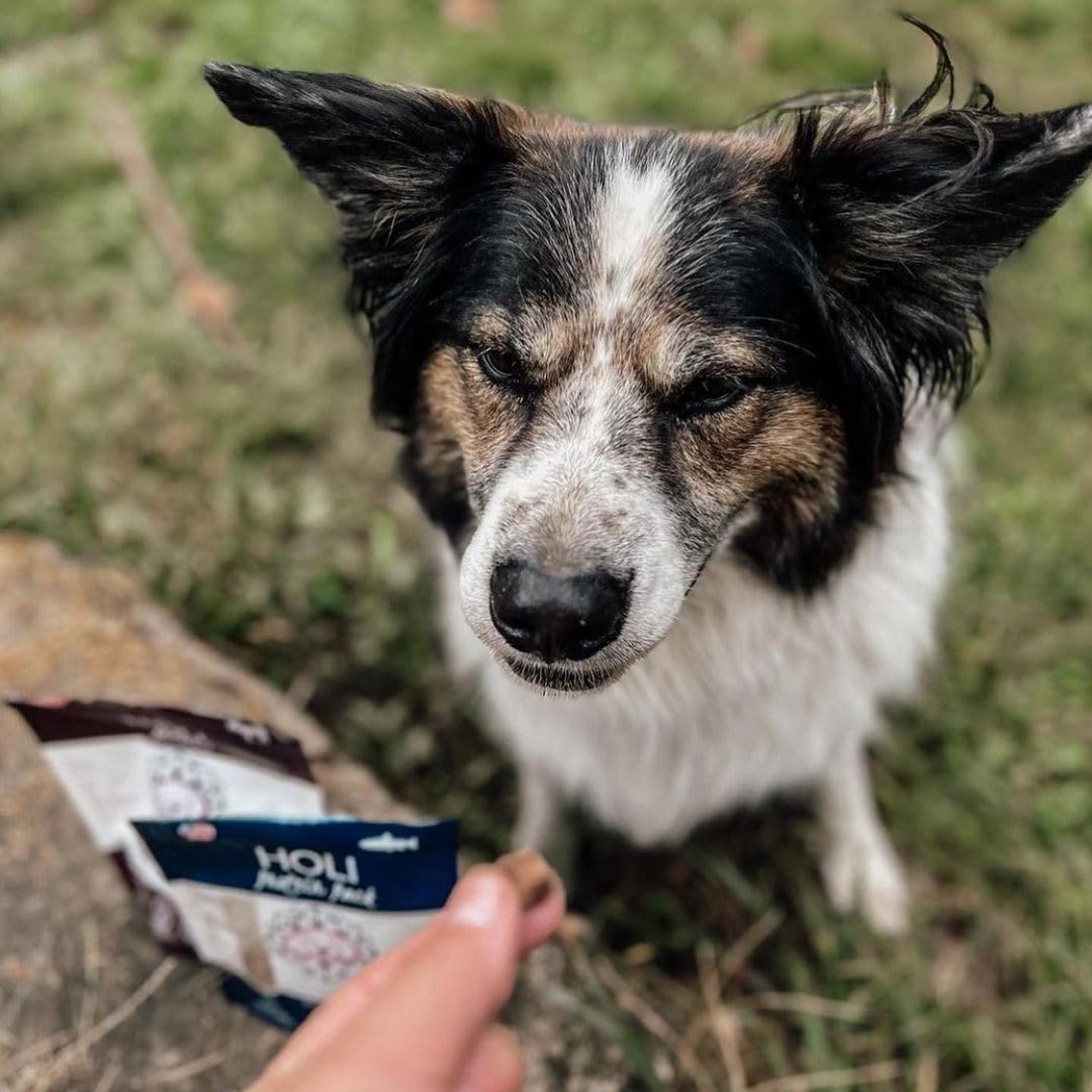 HOLI Elk & Venison Freeze Dried Dog Treats - All Natural and Wild Caught | Vitamin and Mineral Fortified | Made in USA - Human G