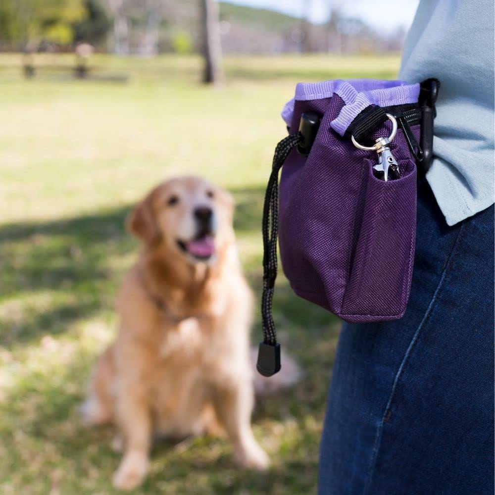 Company of Animals Treat Bag, Purple, Zipped Pockets & Drawstring, Clips on Belt, Waistband or Pocket, Waterproof Treats Pouch,