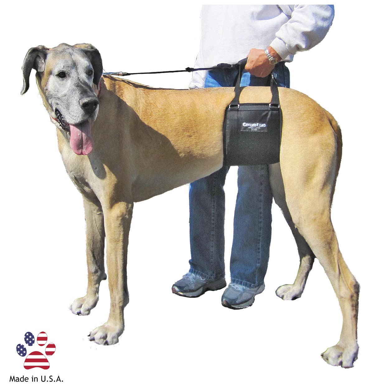 GINGERLEAD Dog Sling Hip Support Harness, Tall Female fits Tall, Lean Female Dogs Like Greyhounds or Great Danes. Padded Lifting