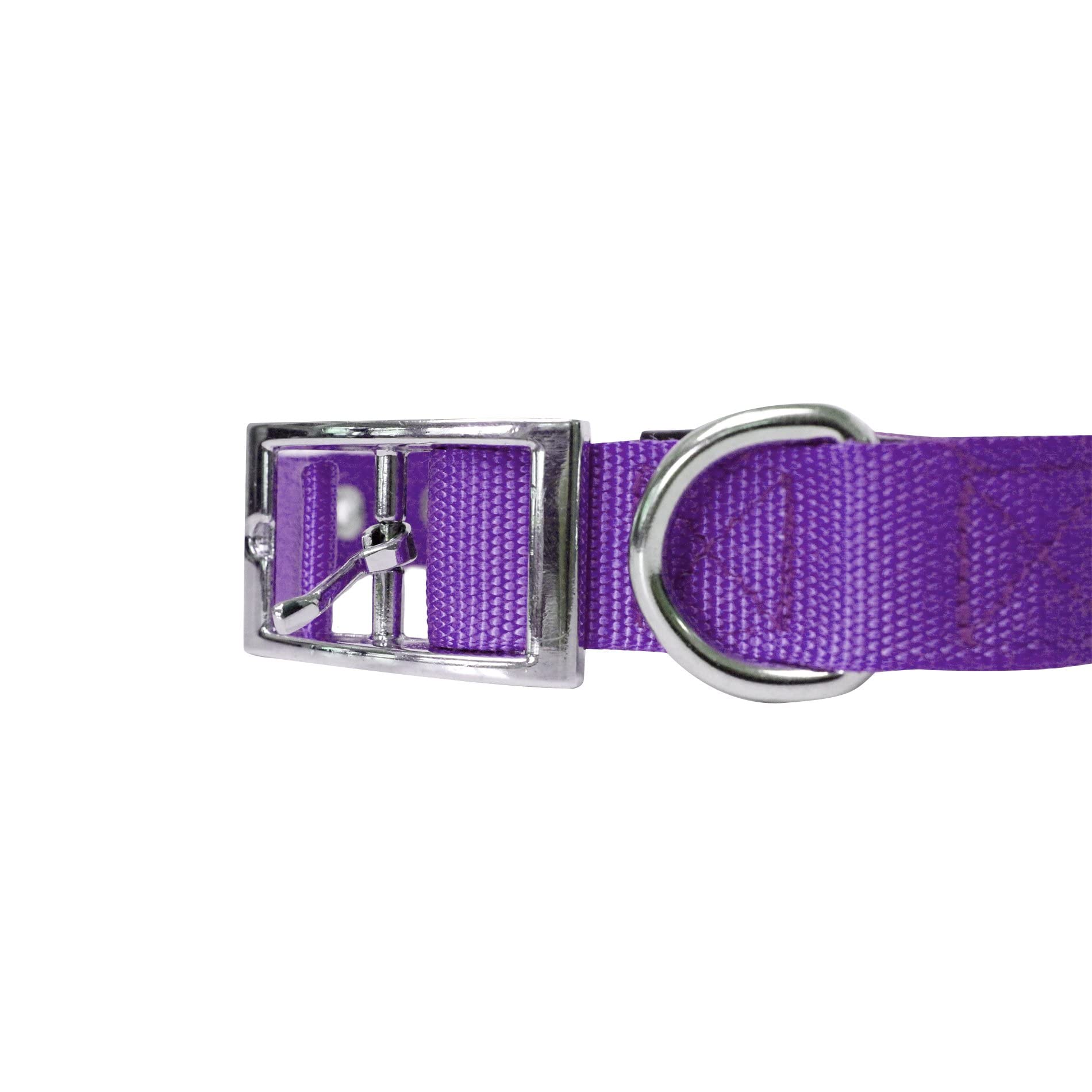 Downtown Pet Supply Deluxe Dog Collar - Padded Adjustable Dog Collar With Metal Buckle & D-Ring - Machine Washable & Water Resistant Thick Dog Collar - Purple - S - Small Dog Collar
