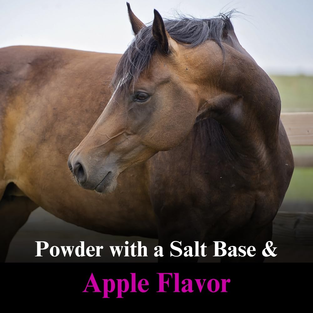 SU-PER Lyte Horse Electrolyte Supplement - Helps Maintain Normal Body Fluid Levels - Performance Horse Minerals & Electrolytes R