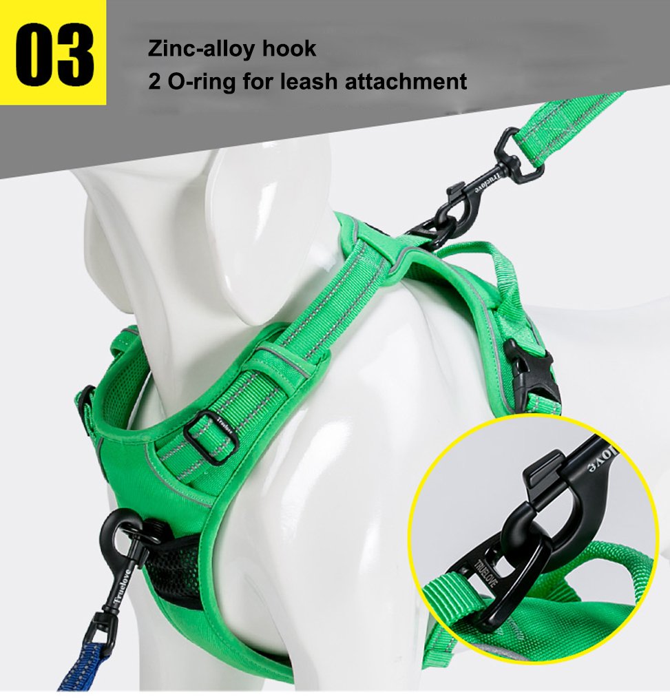 Sgoda Dog Harness, Green, Small