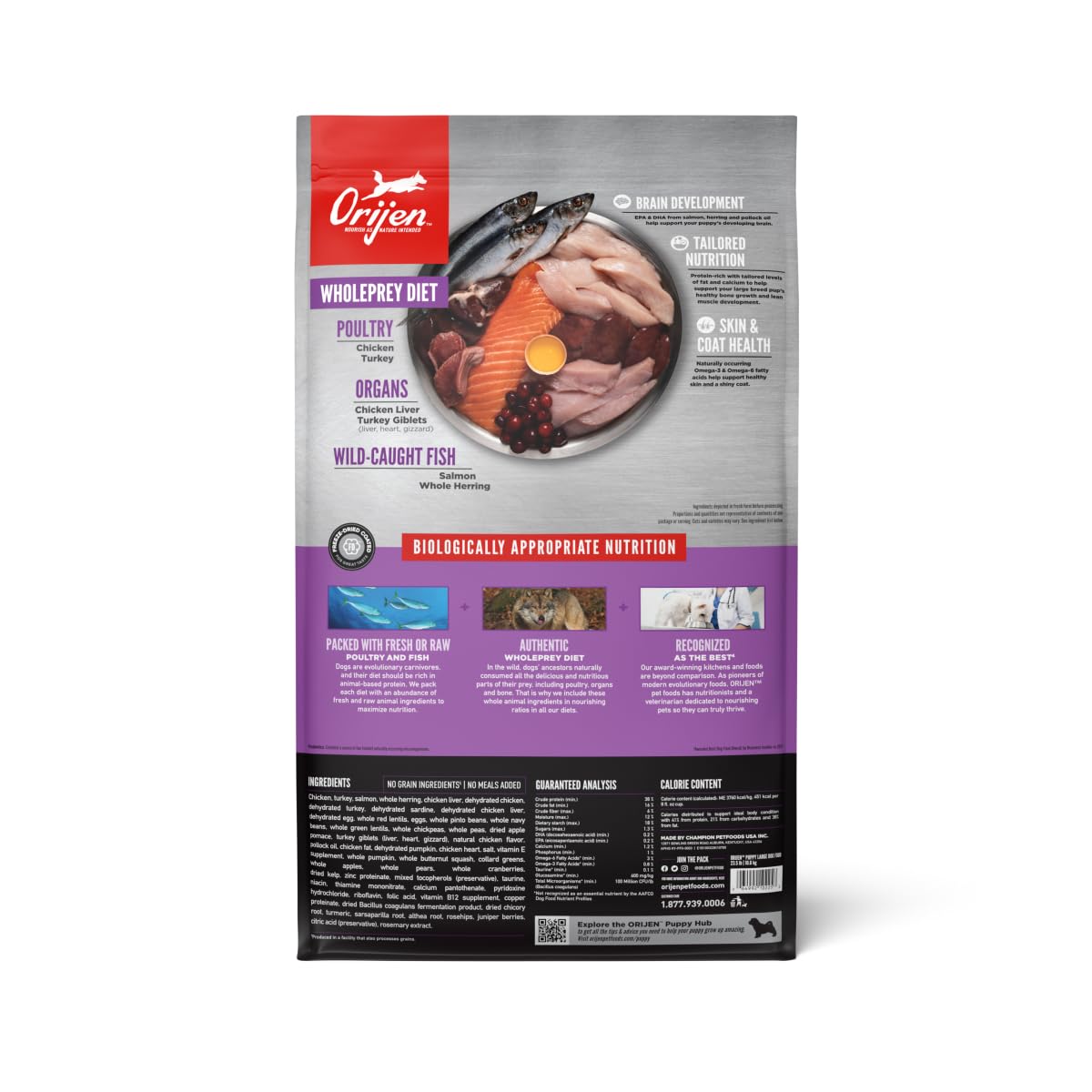 ORIJEN Puppy Large Dry Dog Food, Grain Free Dry Dog Food for Puppies, Fresh or Raw Ingredients, 23.5lb