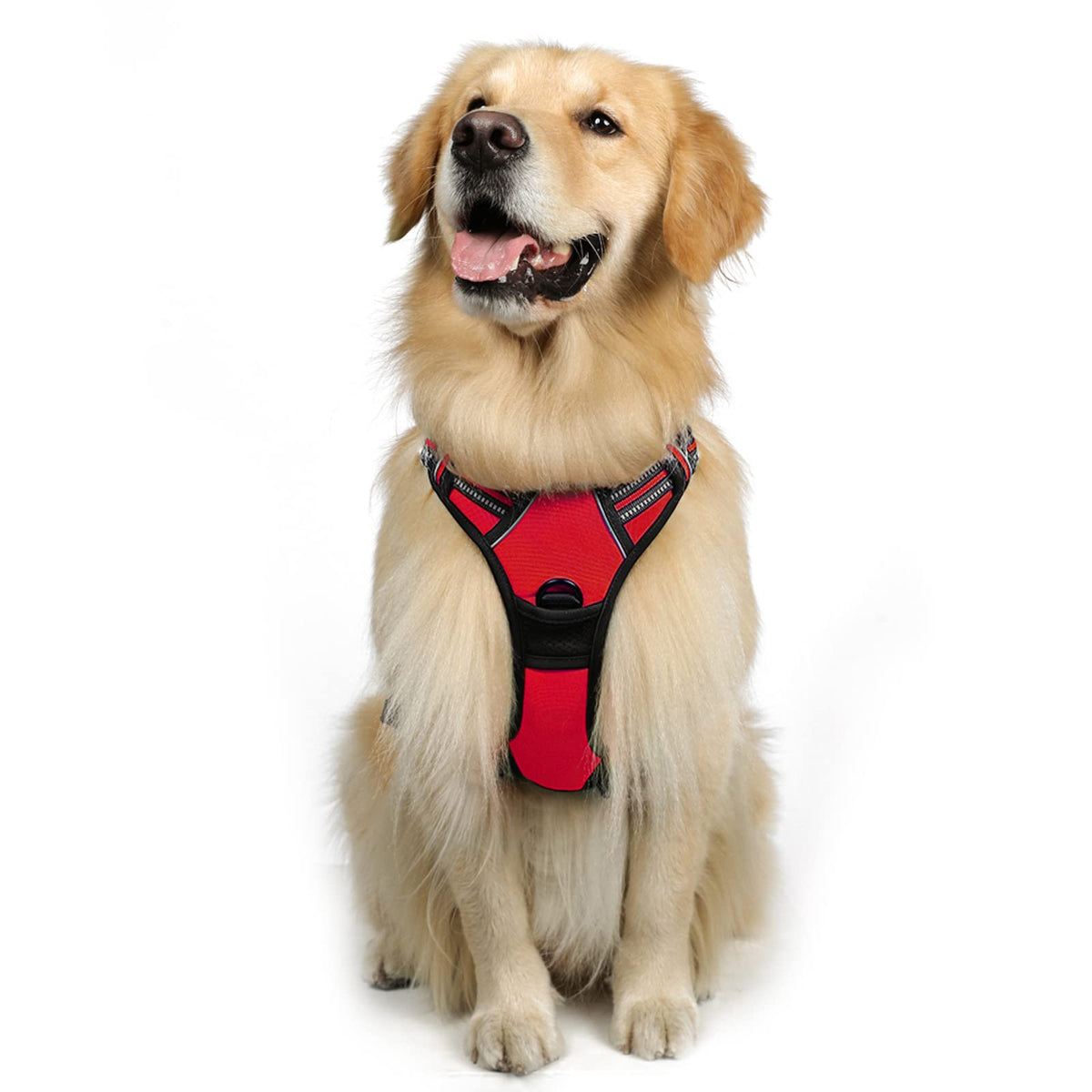 Rabbitgoo Dog Harness, No-Pull Pet Harness With 2 Leash Clips, Adjustable Soft Padded Dog Vest, Reflective No-Choke Pet Oxford V