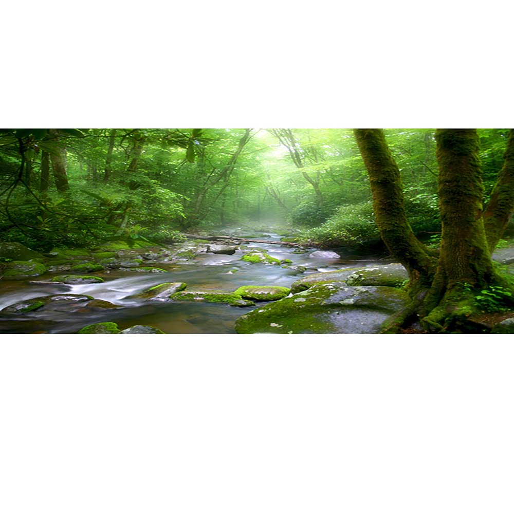 OERJU 48x18 Inch Rainforest Terrarium Background - Deep Forest Tank Aquarium Background With Sunny Stream Stones, Trees, Grass, 