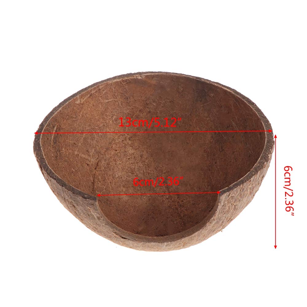 Pinvnby 2 Pcs Natural Coconut Reptile Hideouts Lizard Coco Hut Hermit Crab Hut Aquarium Fish Hide Cave Spider Snail Climber Toys