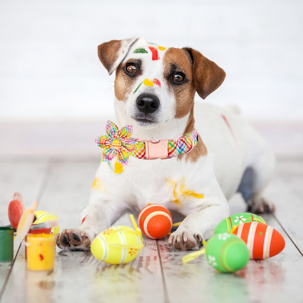 Lionet Paws Easter Dog Collar With Flower - Colorful Cute Cotton Flower Dog Collar With Metal Buckle For Medium Dog Girl Gift, M, Neck 13.5-22In