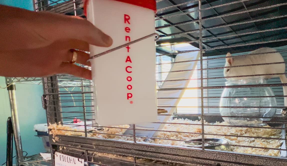 RentACoop 64oz No-Drip Brass Water Bottle for Small Animals - BPA Free, White & Red, Ideal for Rabbits, Bunnies, Ferrets, Guinea Pigs