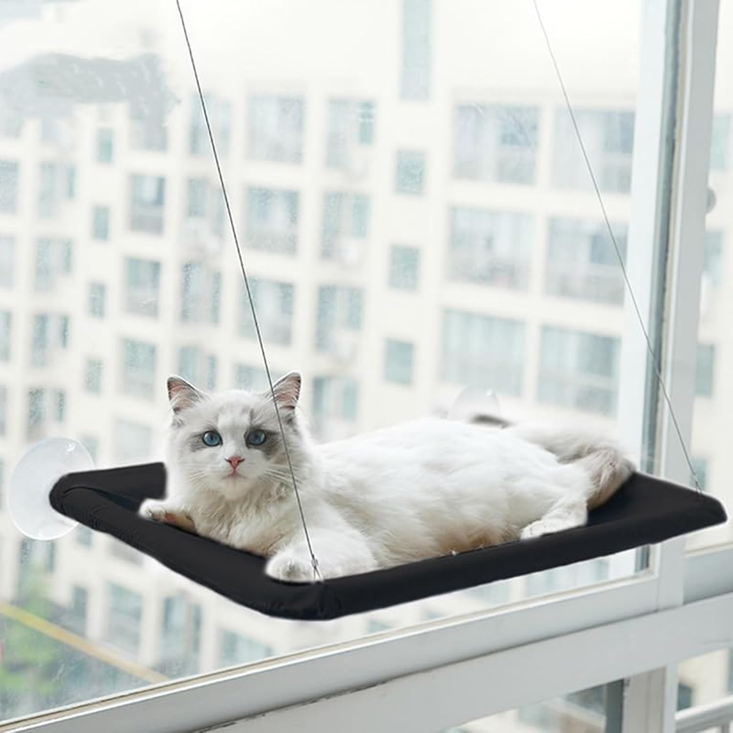 Jinrui-T Cat Hammock For Window Cat Window Bed Cat Window Perch For Indoor Cats Suction Cups Cat Window Hammock Space Saving Window Seat For Cats Inside (Black)