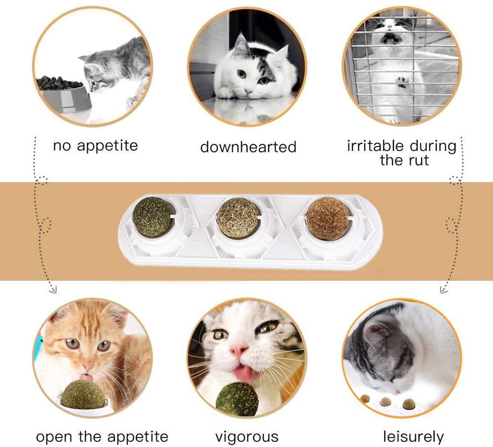 WoLover Catnip Wall Ball Toys - Rotatable Cat Snack Edible Balls with Natural Healthy Catnip | Silvervine | Gall Nut, Kitten Pla