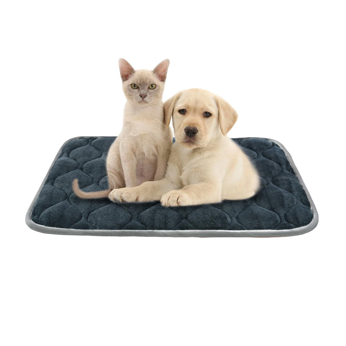 Furrybaby Dog Bed Mat Soft Crate Mat With Anti-Slip Bottom Machine Washable Pet Mattress For Dog Sleeping (S 24X18'', Grey Mat)
