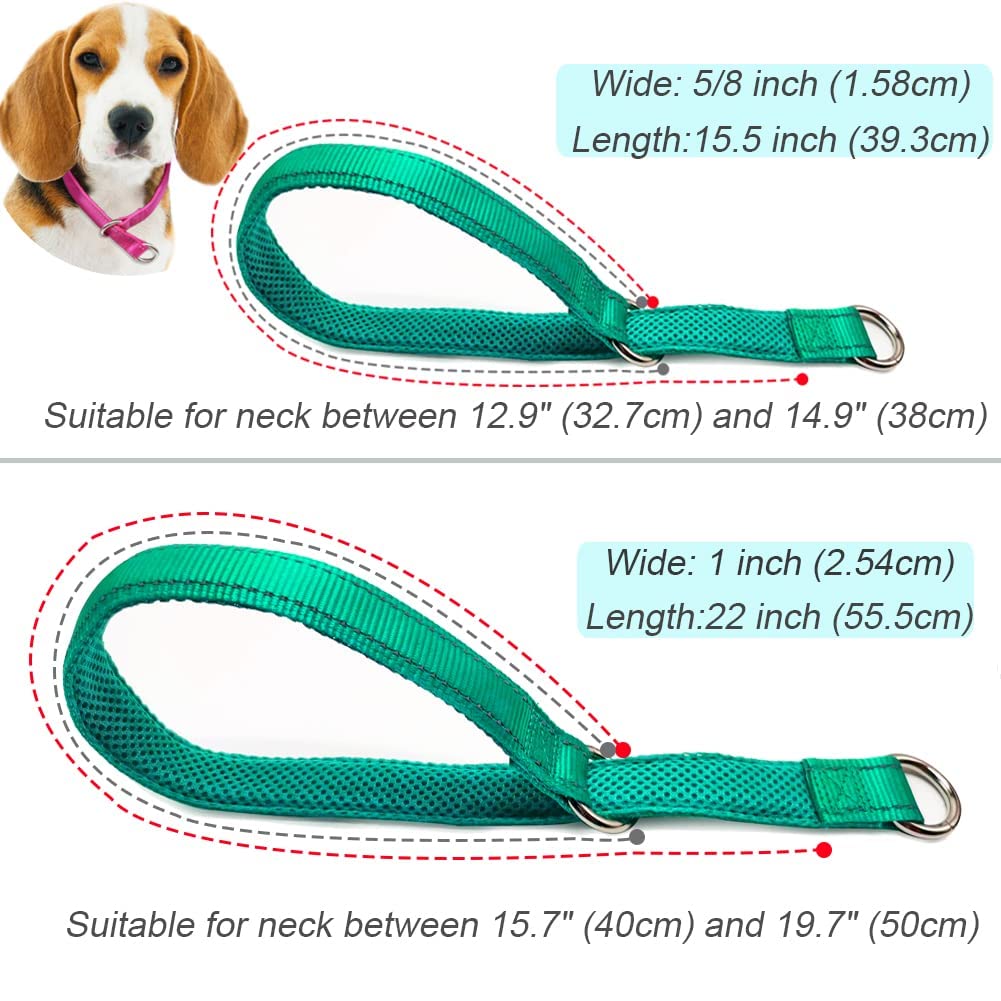 Mycicy Reflective Dog Choke Collar, Soft Nylon Training Slip Collar For Dogs (5/8' W X 15.5' L, Turquoise)