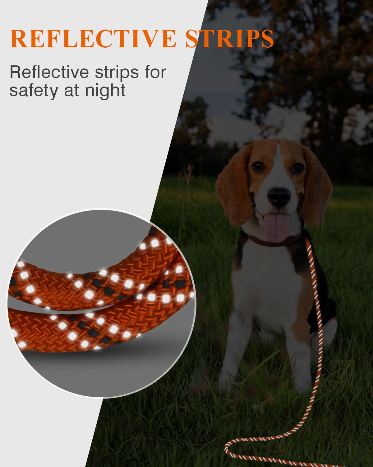 Taglory Dog Tie Out, Long Dog Leash 15Ft 30Ft 50Ft 66Ft, Recall Training Leash With 2 Swivel Hooks For Large Medium Small Dogs W