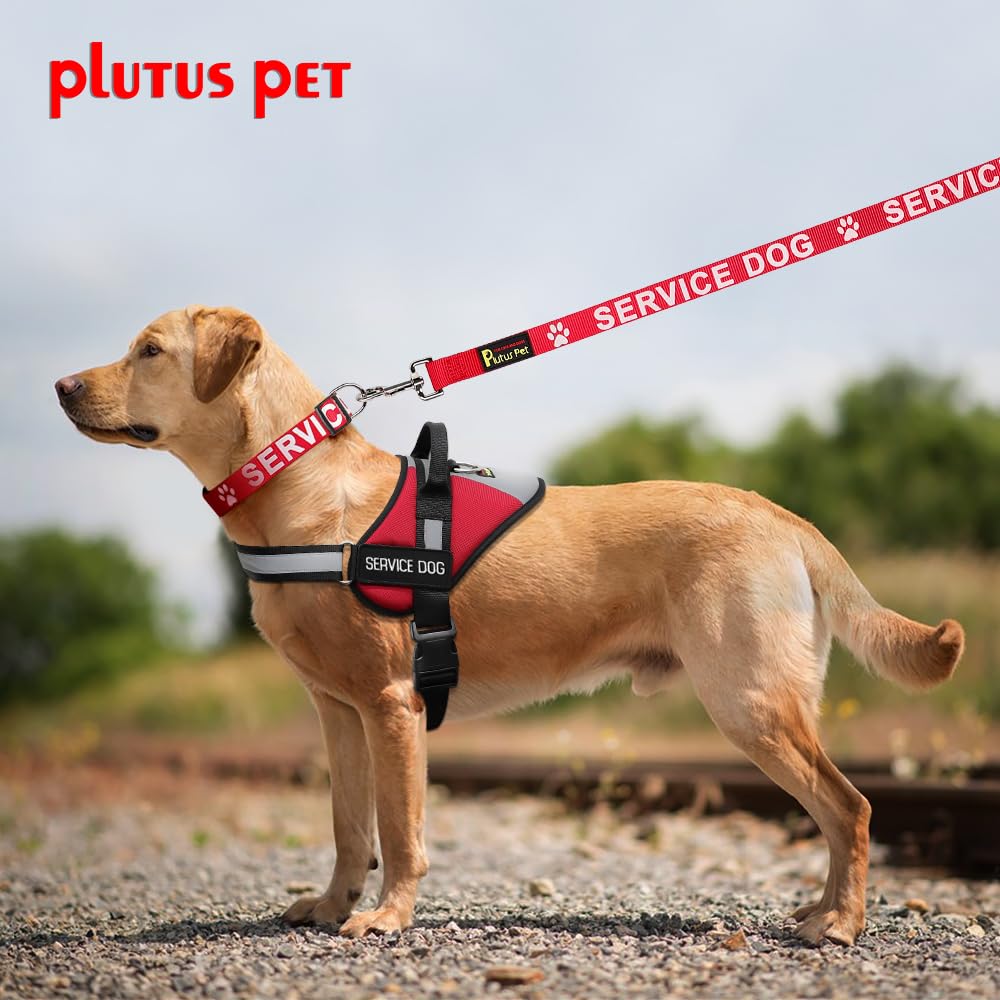 Plutus Pet Service Dog Leash with Soft Neoprene Padded Handle,Printed in Large Letters on Both Sides,4ft Long,Red,1'' Wide for L