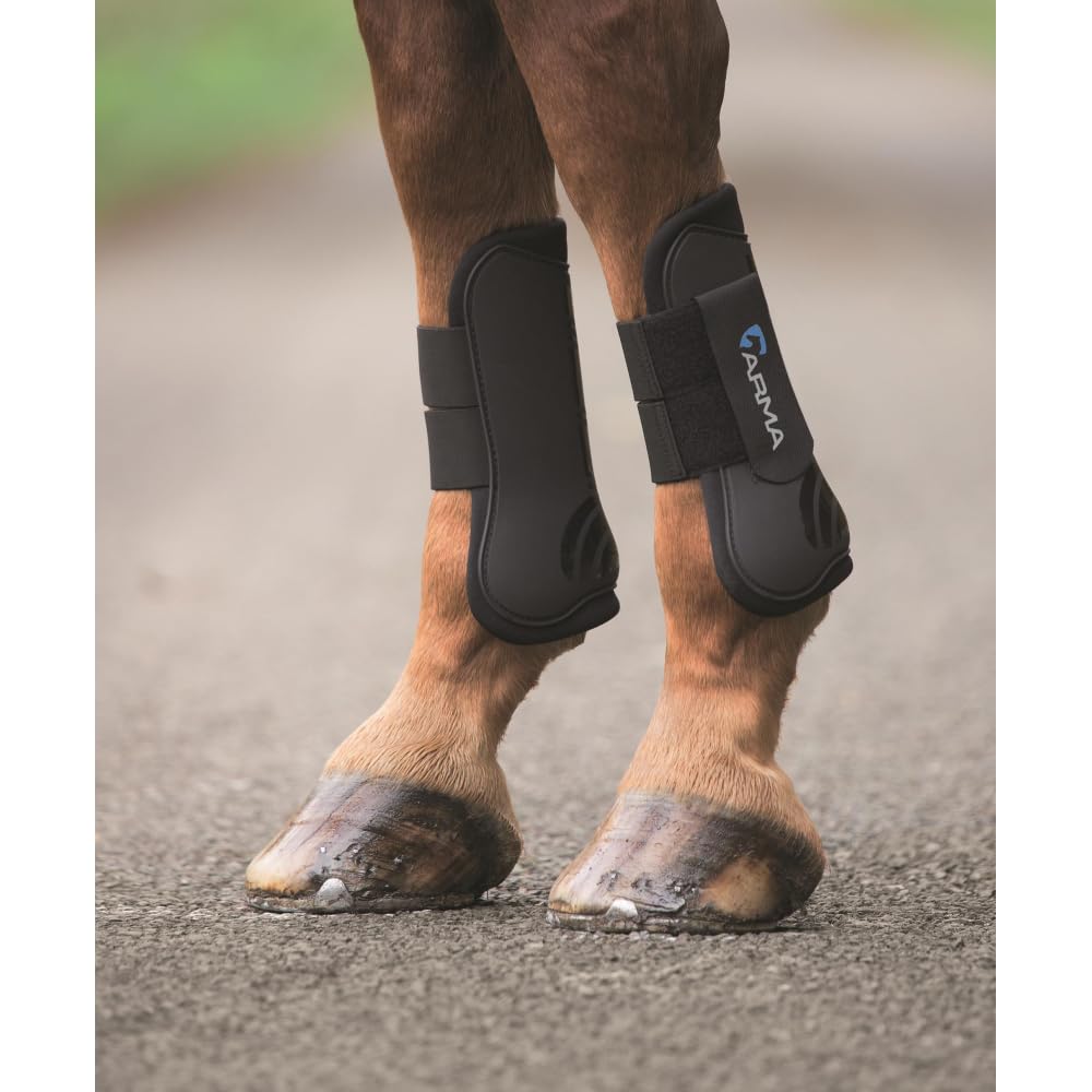 Shires Arma Tendon Boot (Black, Full)