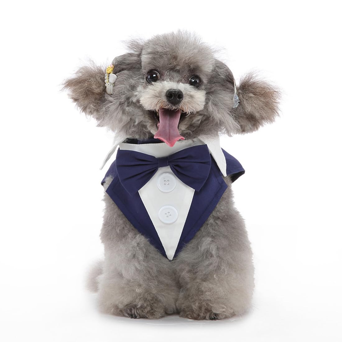Doteyayp Puppy Tuxedo With Detachable Bowtie Prom Wedding Formal Wear Prince Costume For Small Dog (Large, Blue)