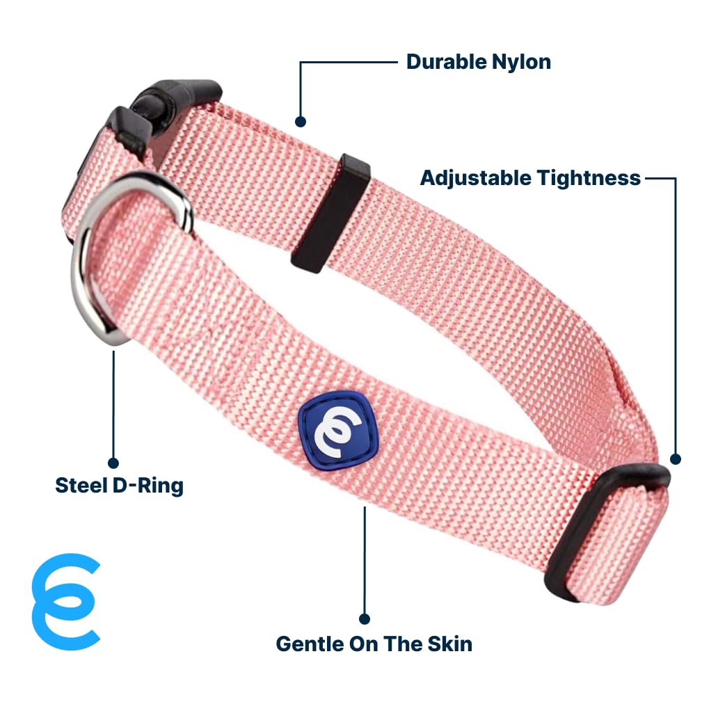 Blueberry Pet Dog Collar For Medium Dogs | Adjustable Pink Dog Collars For Girls | Essentials Girl Dog Accessories | Nylon Puppy